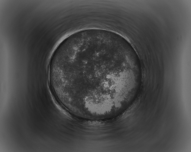 X0000086971515200705071346