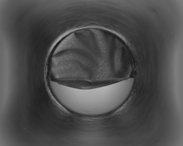 X0000086971518200705071346