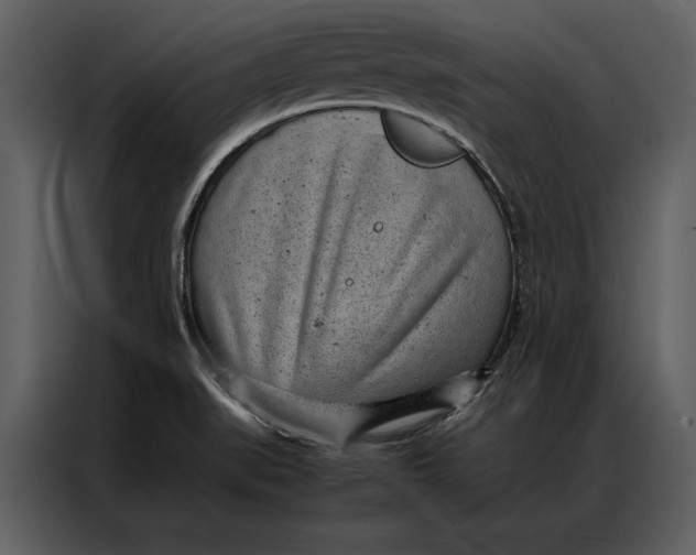 X0000086971519200705071346