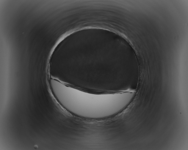 X0000086971522200705071346