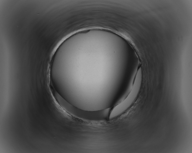 X0000086971524200705071346