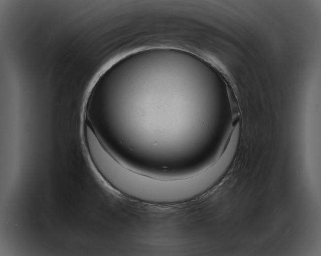 X0000086971528200705071346