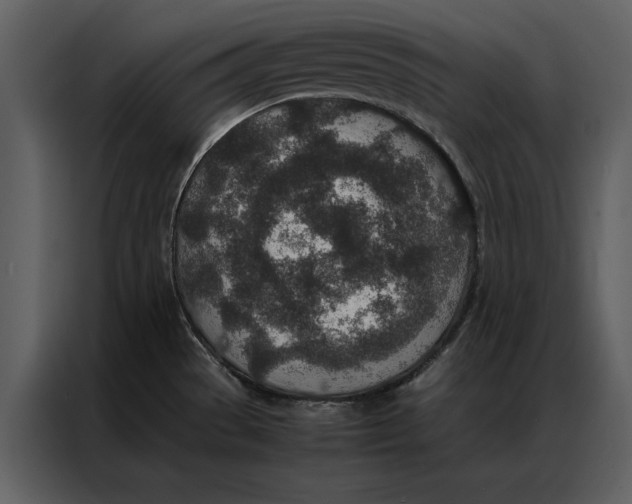 X0000086971529200705071346