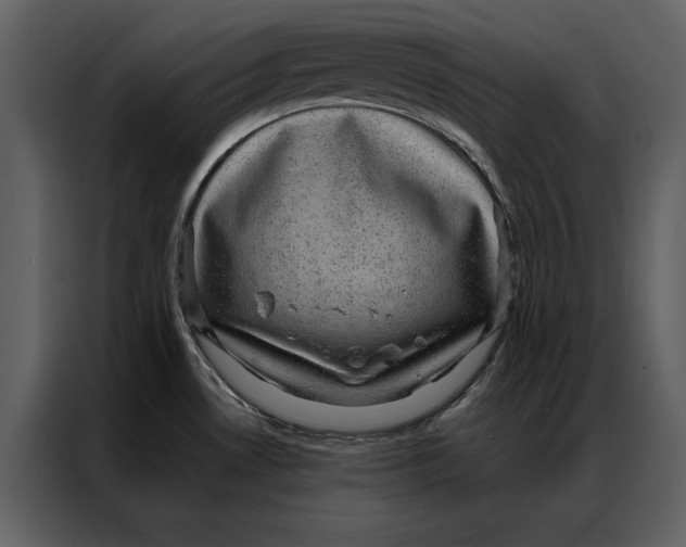 X0000086971530200705071346