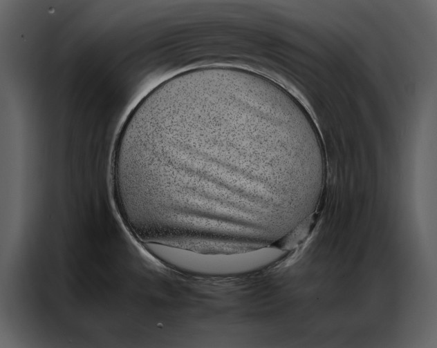 X0000086971533200705071346