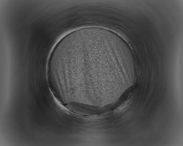 X0000086971535200705071346