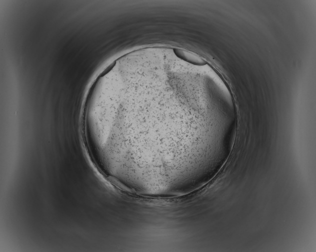 X0000086971536200705071346