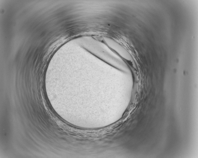 X0000086970001200705141702