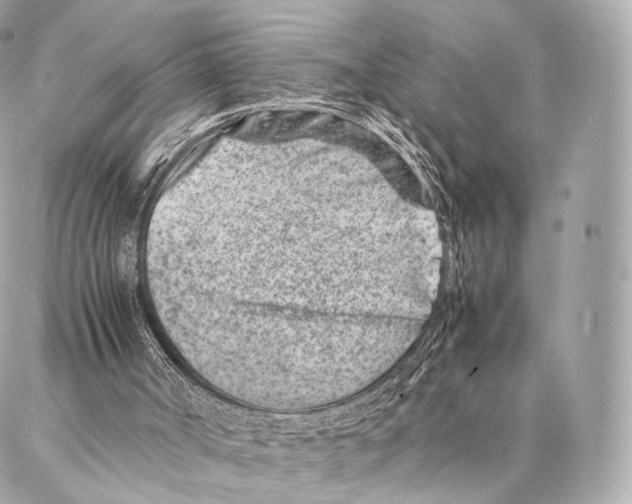 X0000086970002200705141702