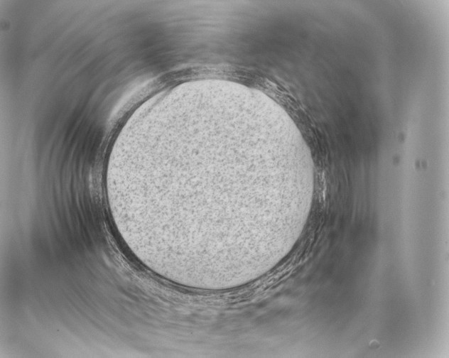 X0000086970004200705141702