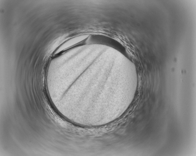 X0000086970005200705141702