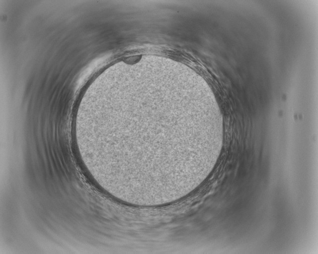 X0000086970006200705141702