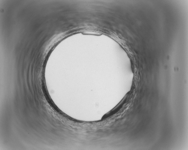 X0000086970007200705141702