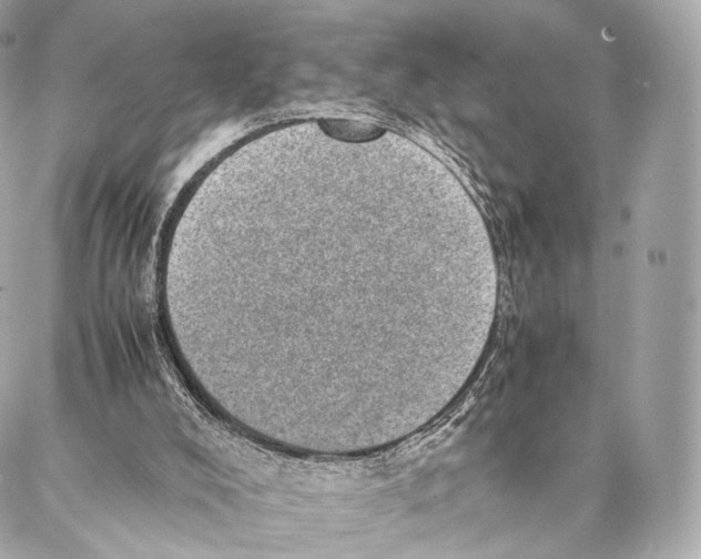 X0000086970008200705141702