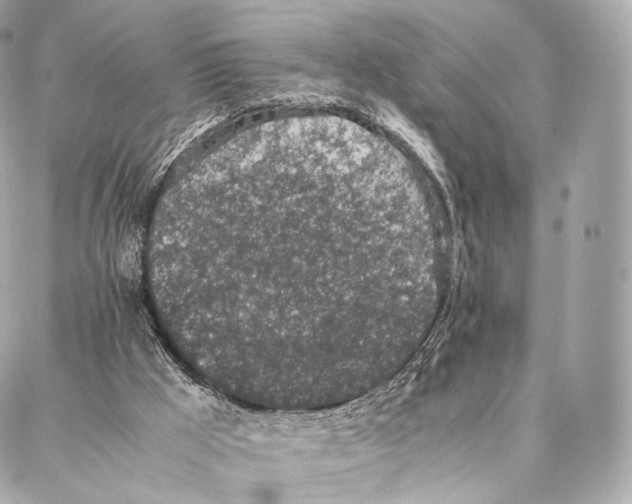 X0000086970009200705141702