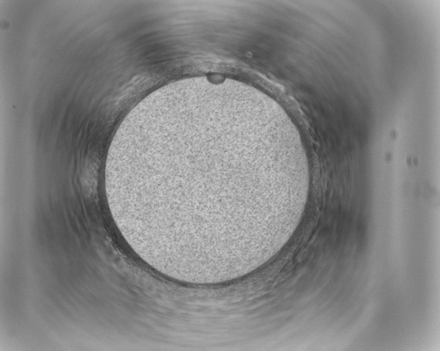 X0000086970010200705141702