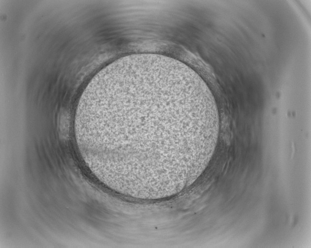 X0000086970012200705141702