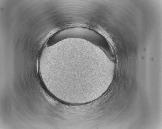 X0000086970013200705141702