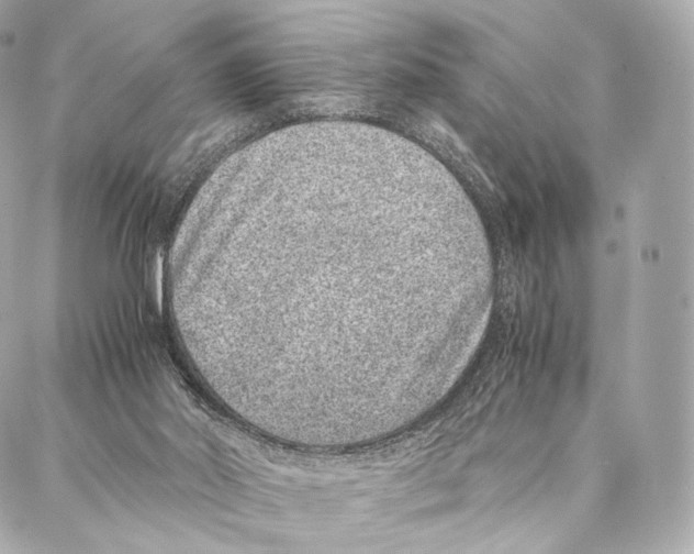 X0000086970014200705141702