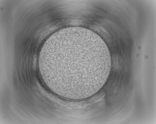 X0000086970016200705141702