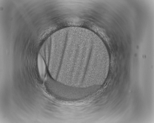 X0000086970017200705141702