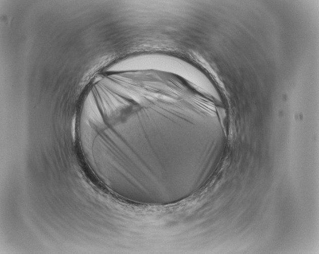 X0000086970019200705141702