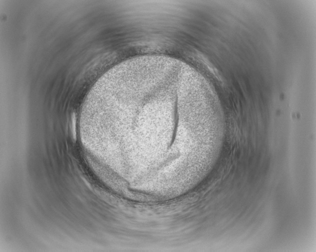 X0000086970022200705141702