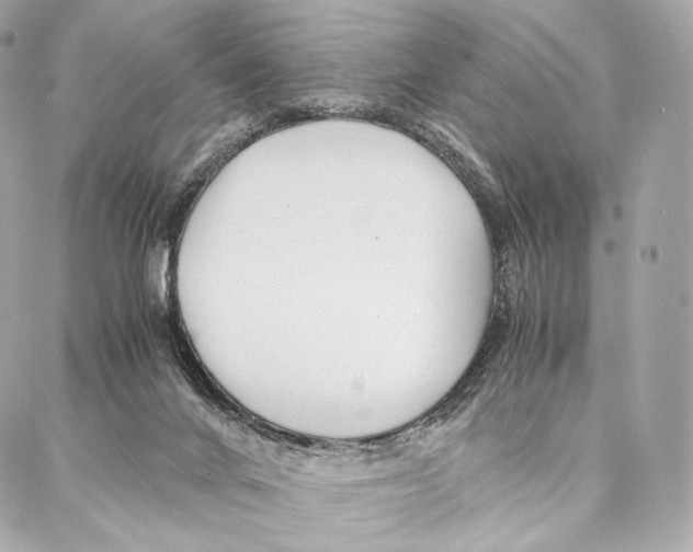 X0000086970024200705141702