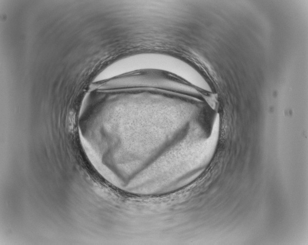 X0000086970025200705141702