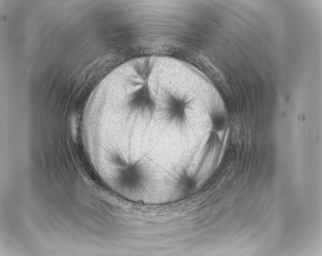 X0000086970026200705141702