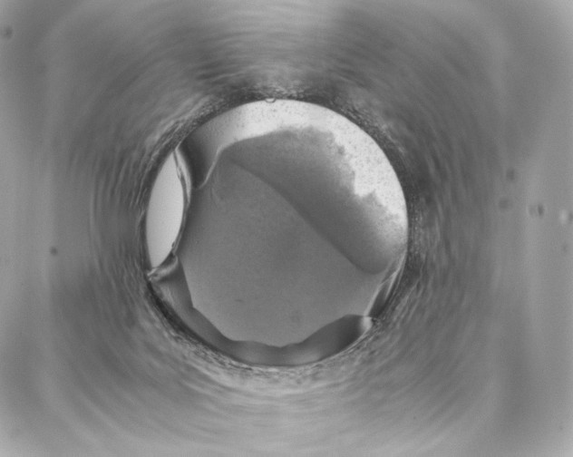 X0000086970027200705141702