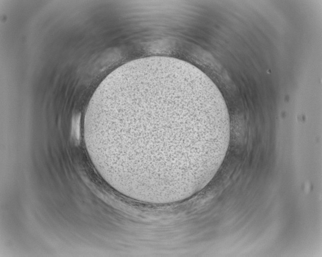 X0000086970028200705141702