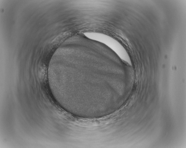 X0000086970029200705141702