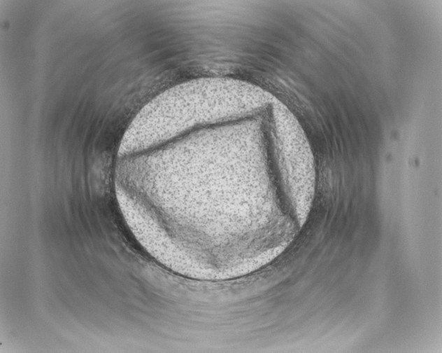 X0000086970030200705141702