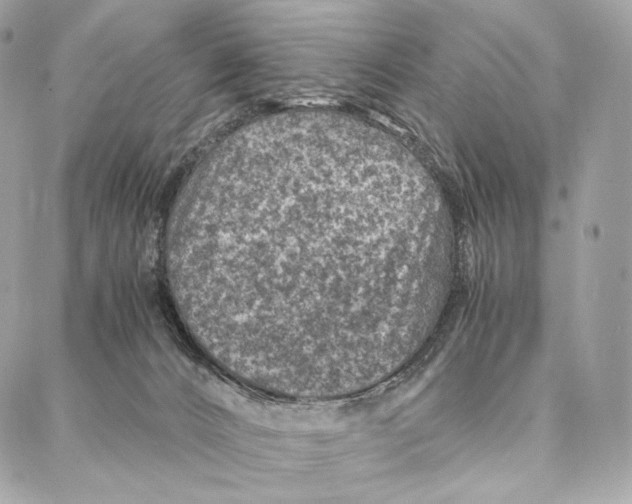 X0000086970032200705141702