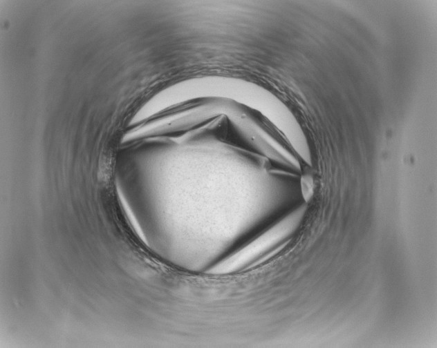 X0000086970033200705141702