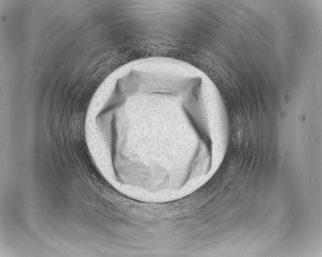 X0000086970034200705141702