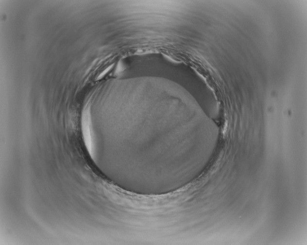 X0000086970035200705141702