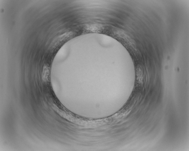 X0000086970036200705141702