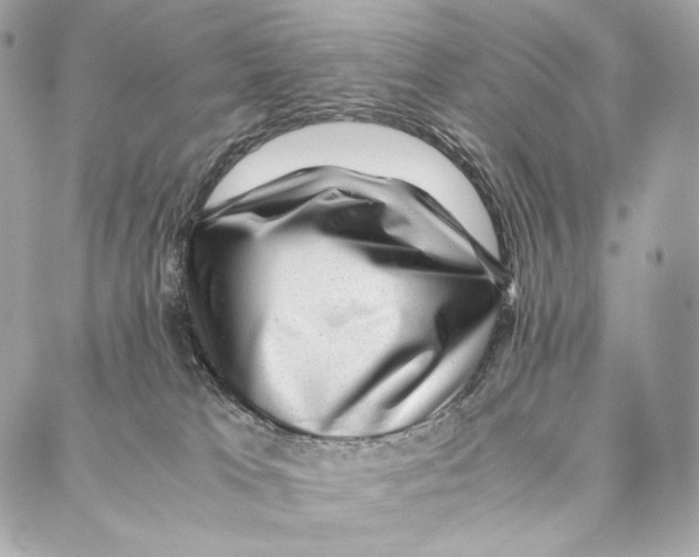 X0000086970037200705141702