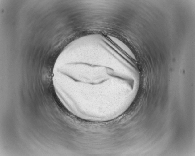 X0000086970040200705141702