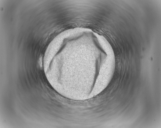 X0000086970042200705141702