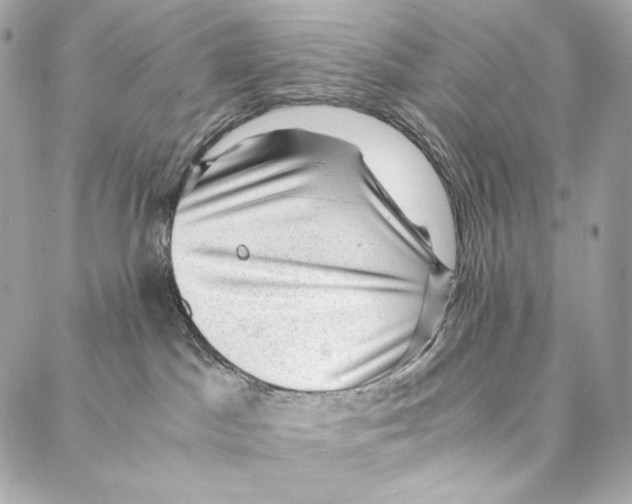 X0000086970045200705141702