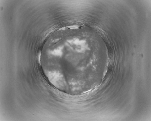 X0000086970047200705141702