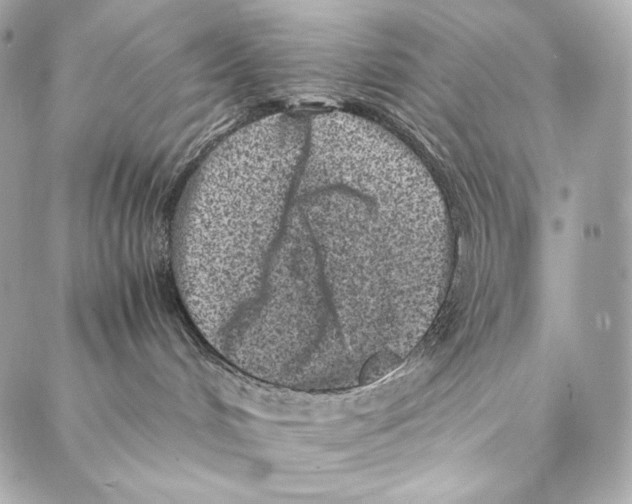 X0000086970048200705141702