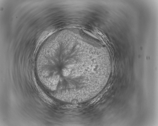 X0000086970049200705141701