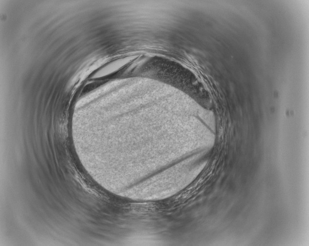 X0000086970050200705141701