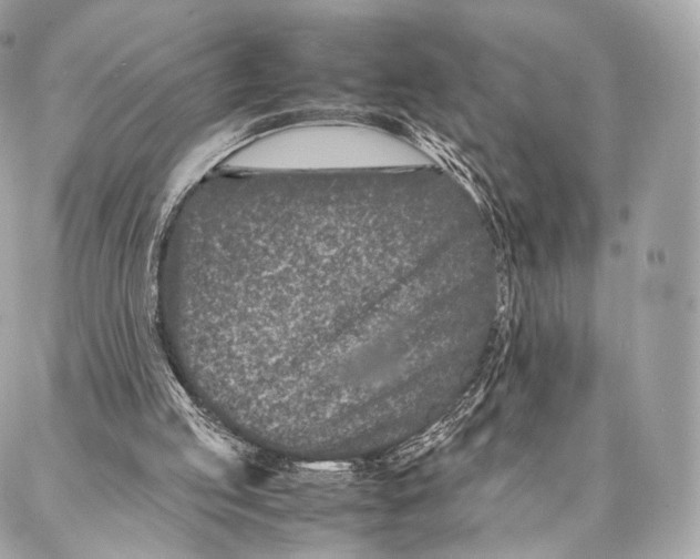 X0000086970053200705141701