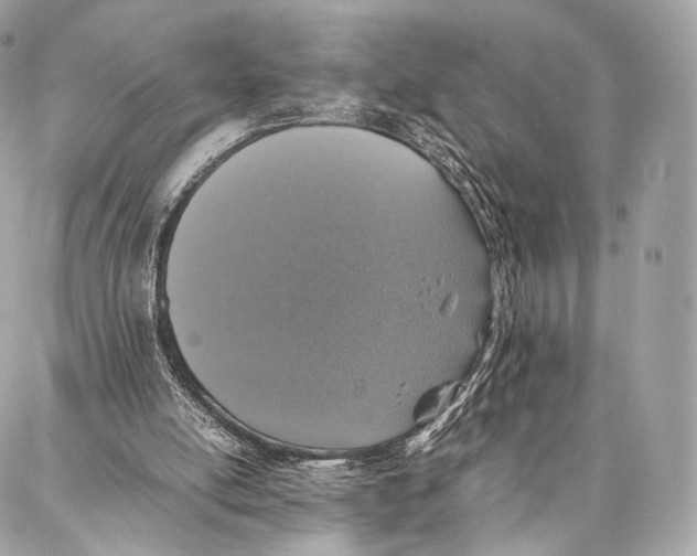 X0000086970054200705141701