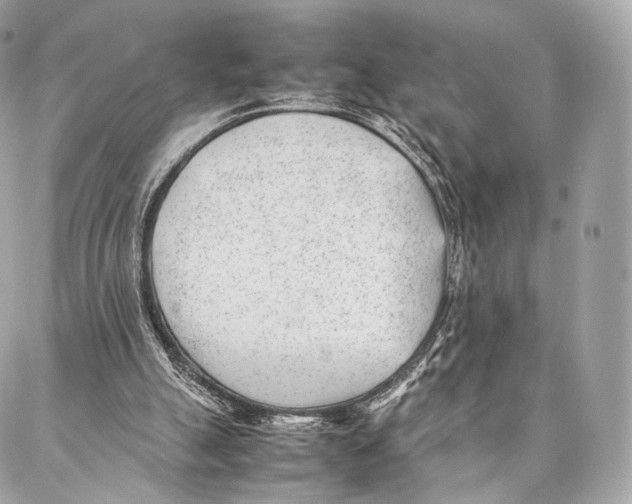 X0000086970055200705141701